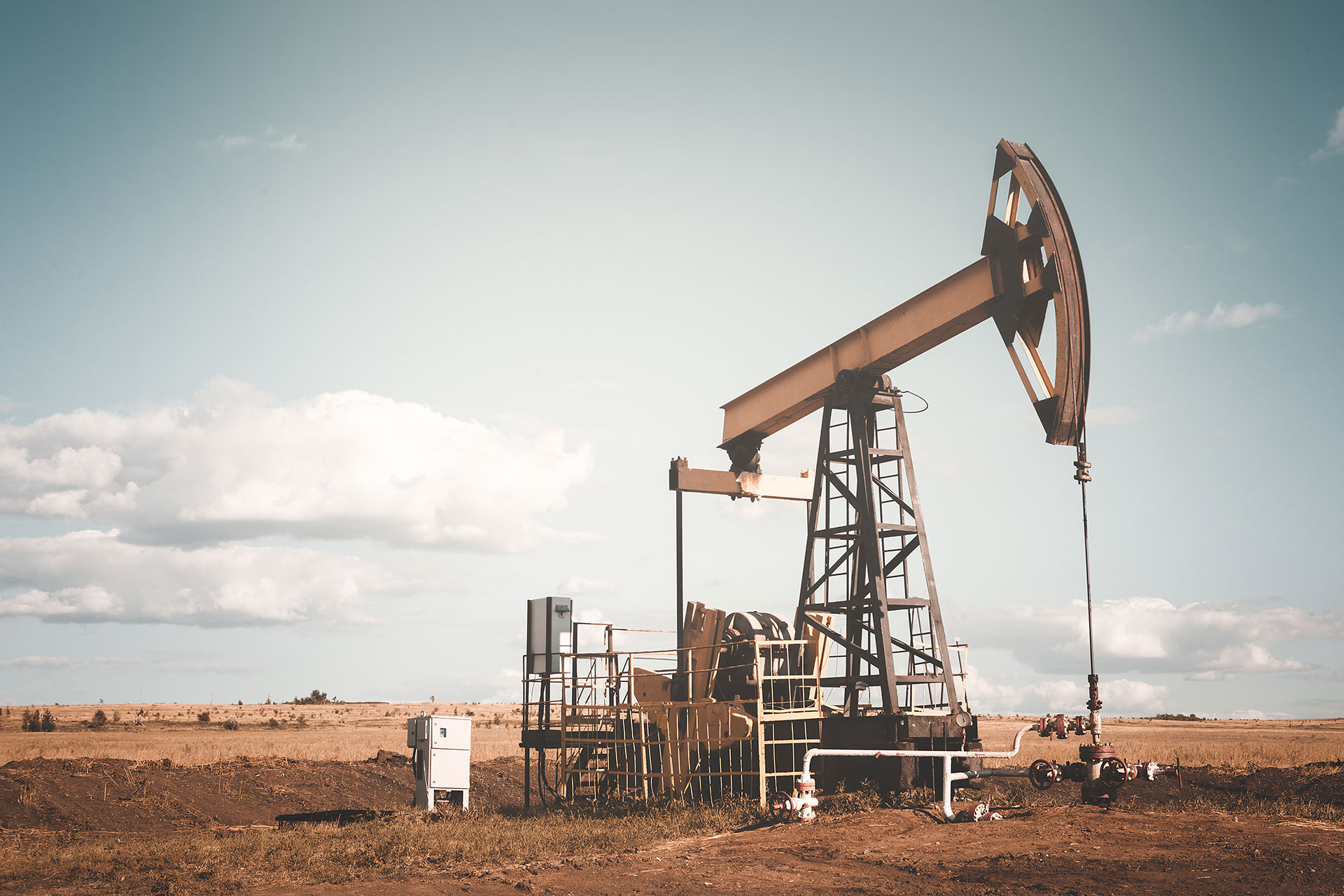 2019 Yaz Fuarımızdan Kareler